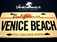 palestra-venice-beach-silvi-11