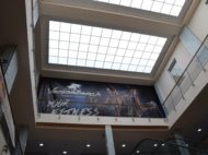 palestra-venice-beach-silvi-28